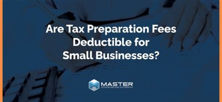 Are business consultant fees tax deductible?