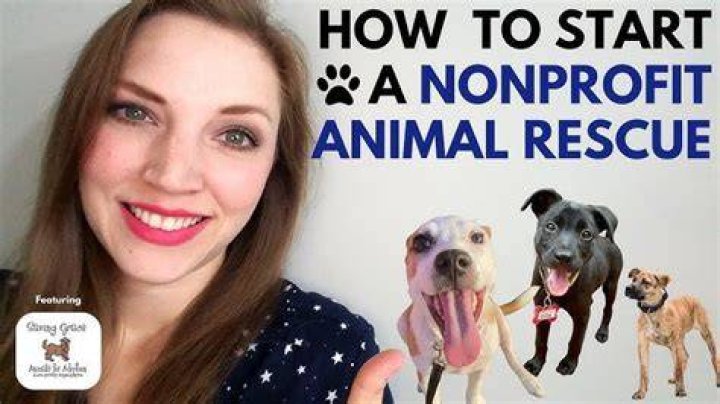 Can you start an animal rescue?