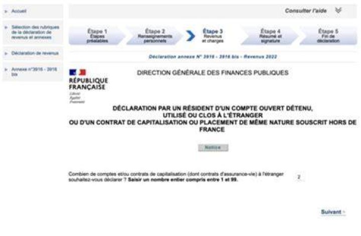 How do I complete a French tax return online?