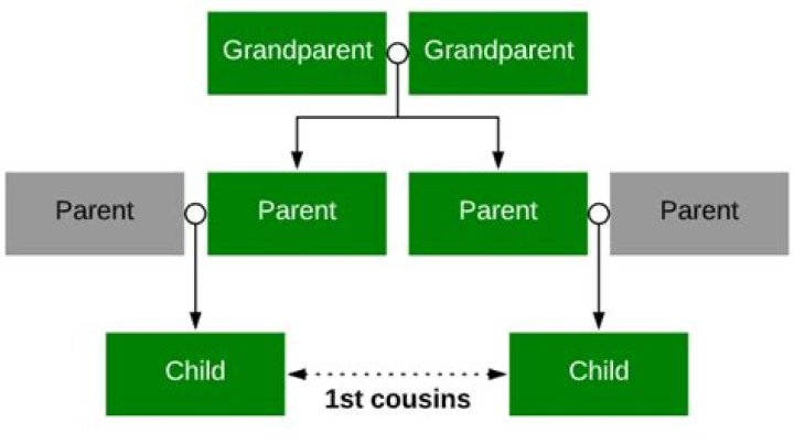 How many grandparents do first cousins share?