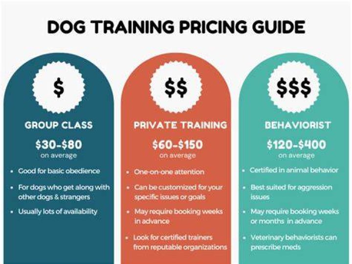 How much should I charge as a dog trainer?
