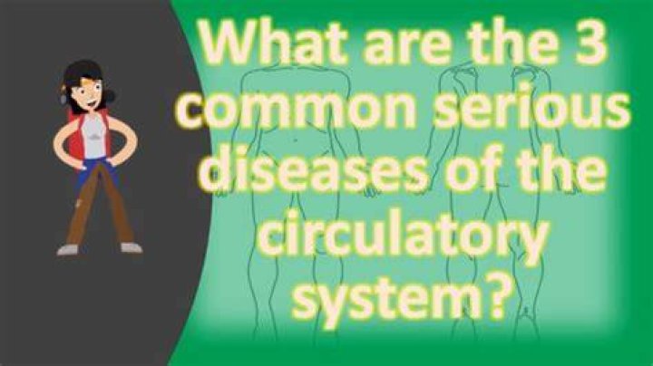 What are the 3 common serious diseases of the circulatory system?