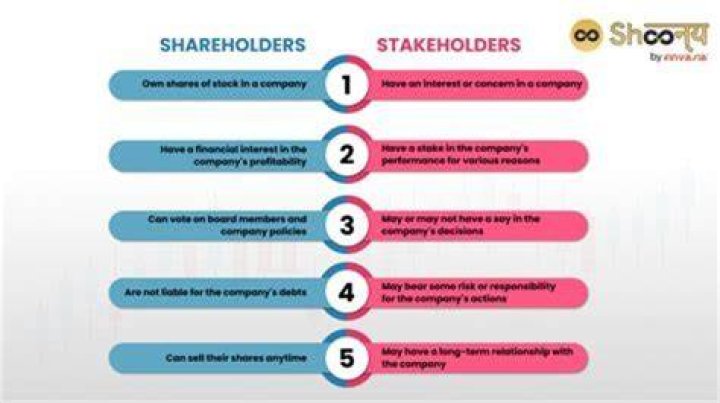 What is owner shareholder drawings?