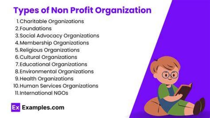 What is the function of non profit organization?