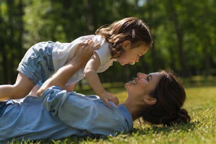 What is the official term for housewife?