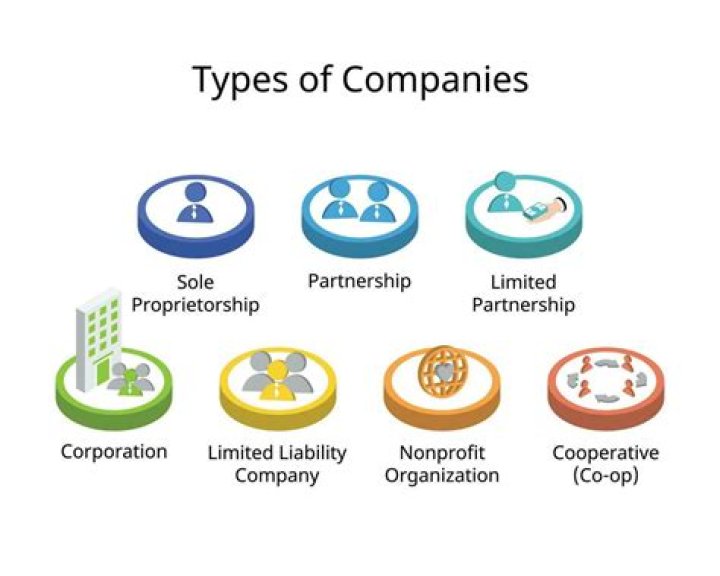 What type of corporation is limited to 100 shareholders?